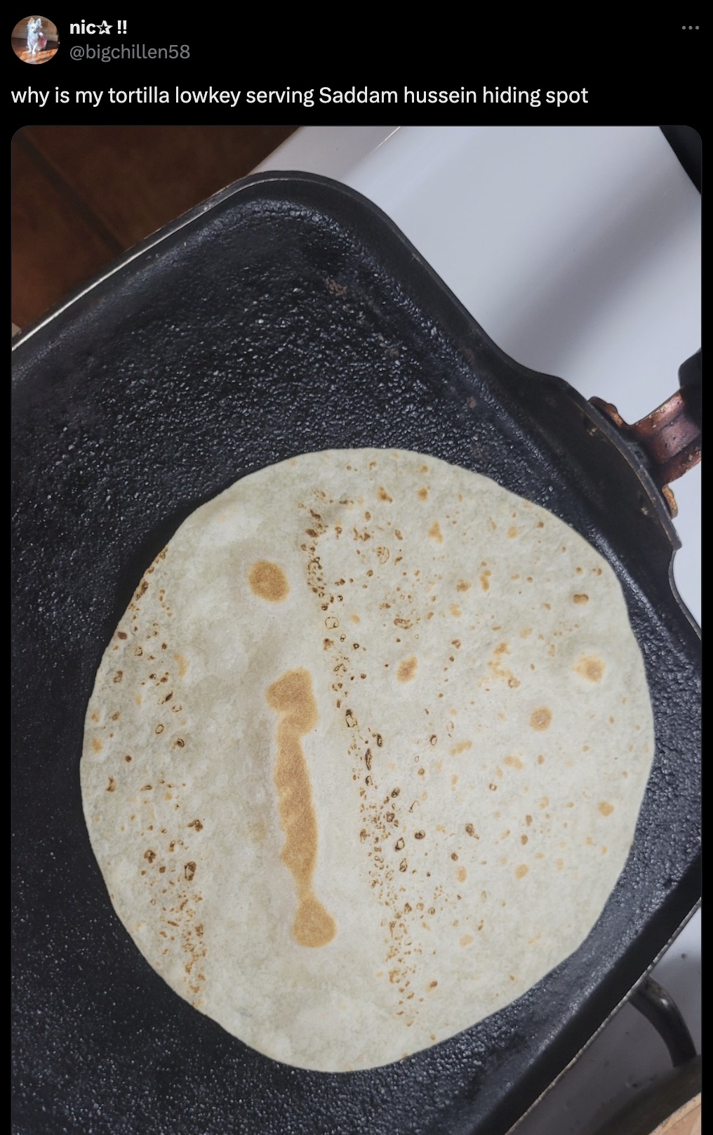 tortilla - nic !! why is my tortilla lowkey serving Saddam hussein hiding spot