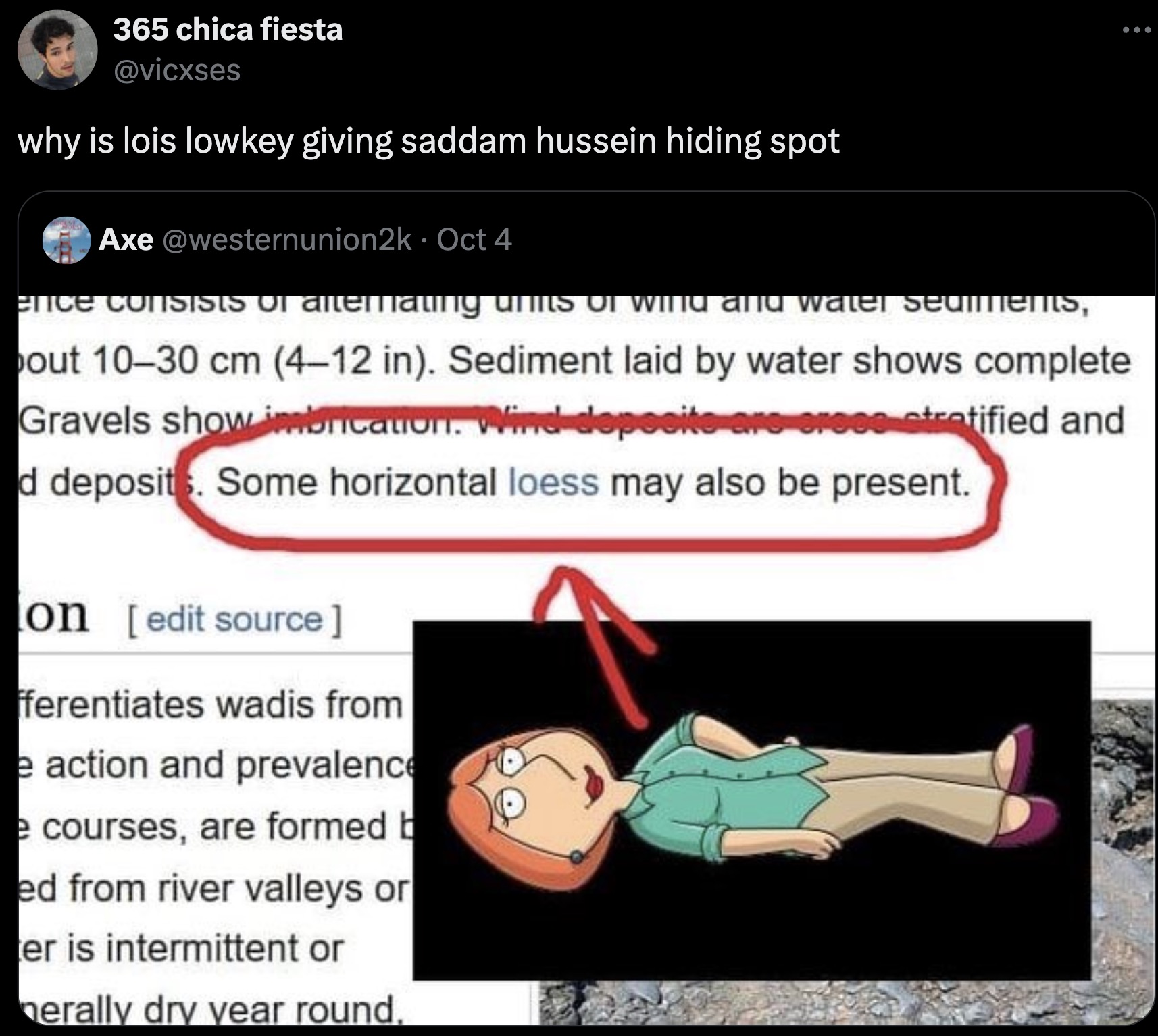 horizontal lois meme - 365 chica fiesta why is lois lowkey giving saddam hussein hiding spot Axe Oct 4 erice consists of alternating unES Of allu water seaments, out 1030 cm 412 in. Sediment laid by water shows complete Gravels show brication. Wind deposi