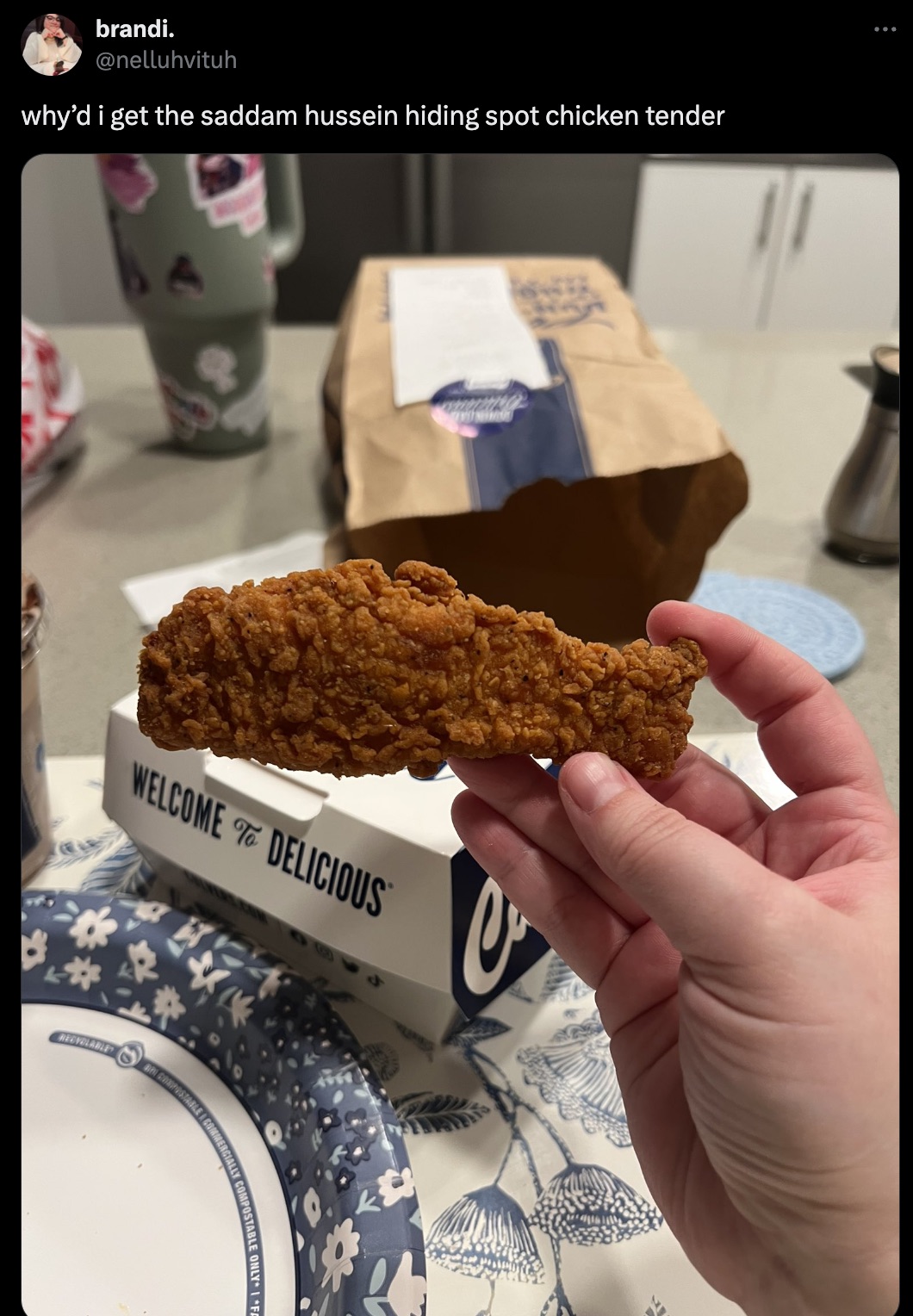 s'more - brandi. why'd i get the saddam hussein hiding spot chicken tender Welcome Delicious Redvolable Bo Compostable Mmercially Compostable Only If