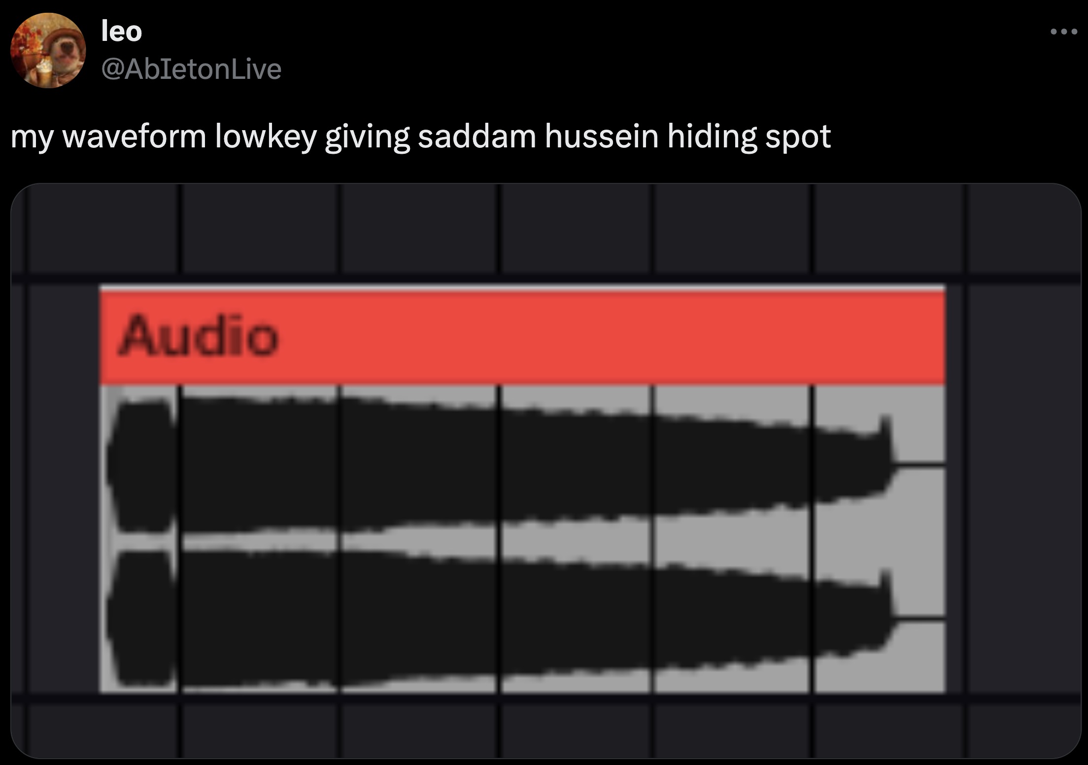 screenshot - leo Live my waveform lowkey giving saddam hussein hiding spot Audio