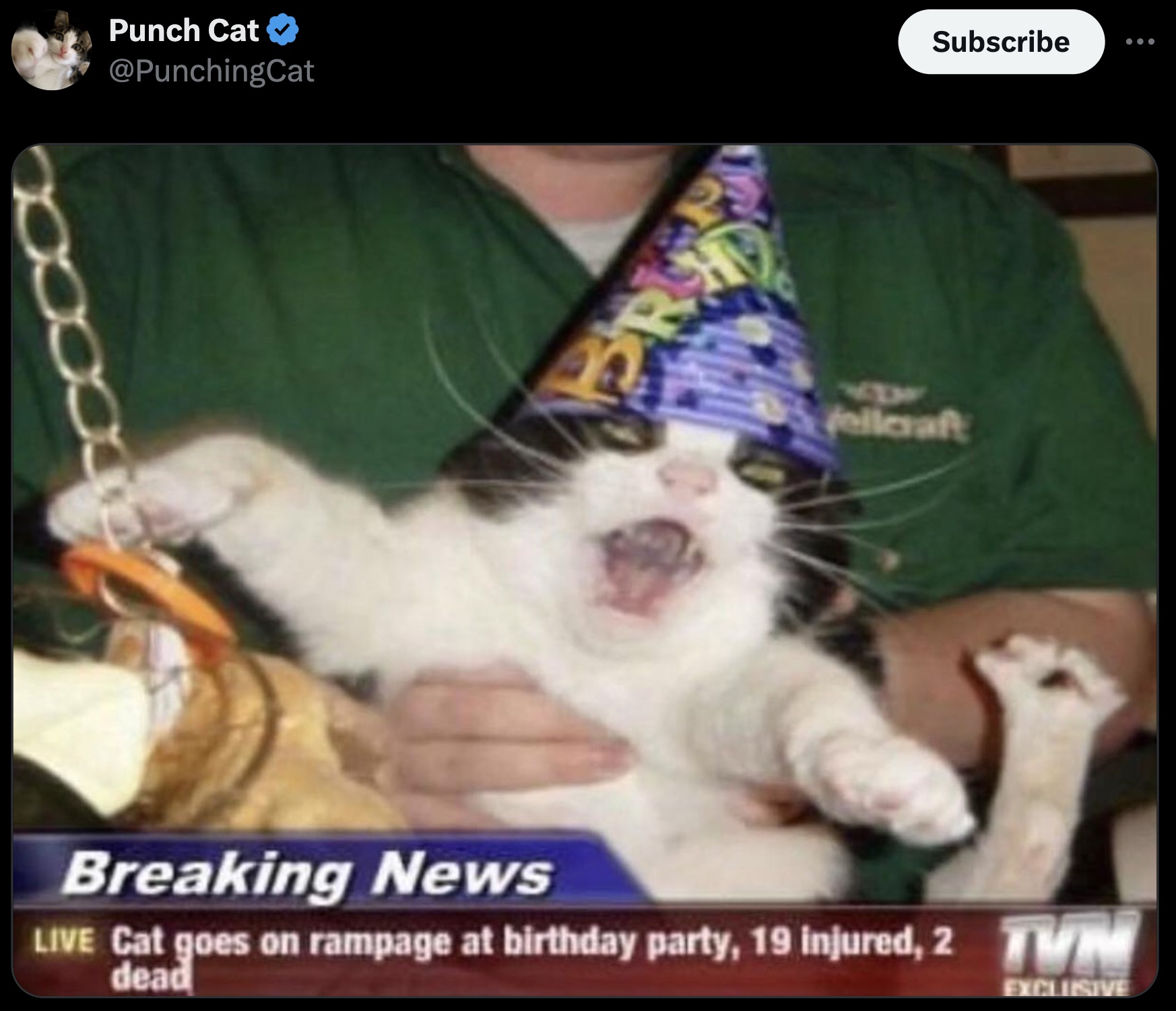 cat birthday rampage - Co Punch Cat Hady fellcraft Breaking News Live Cat goes on rampage at birthday party, 19 injured, 2 Tvm dead Exclusive Subscribe ...