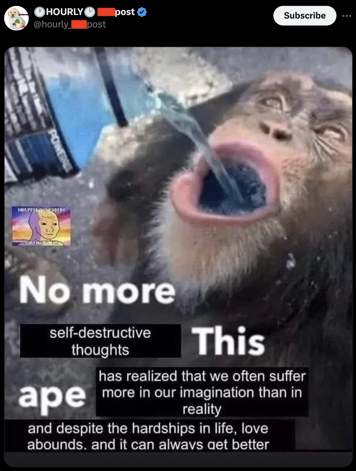 no more bananas this ape only wants powerade - quiero Hourly post Power This Postshadi Dt post Subscribe No more selfdestructive thoughts This has realized that we often suffer ape more in our imagination than in reality and despite the hardships in life,