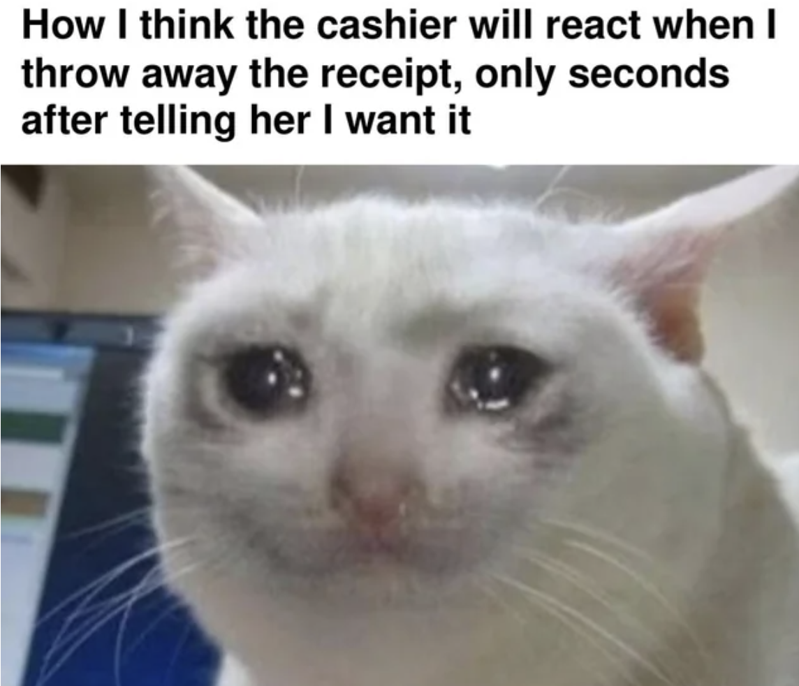 cat meme 2024 - How I think the cashier will react when I throw away the receipt, only seconds after telling her I want it