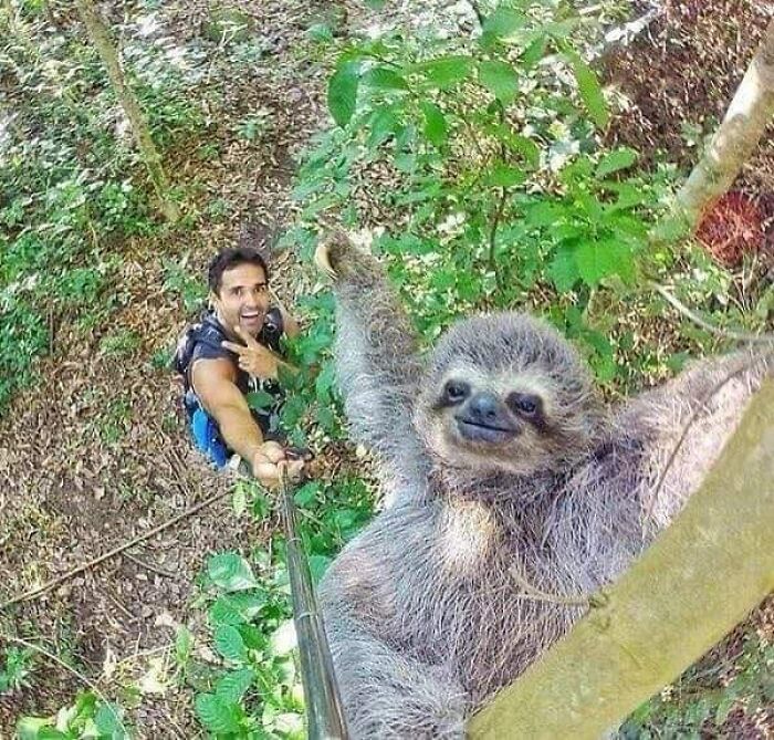 Sloth selfie? I'll take two please!