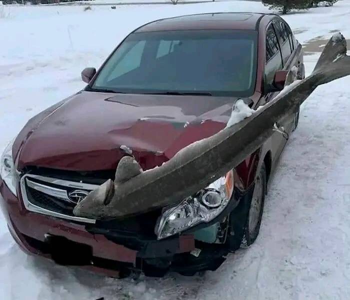 I thought I hit a deer while driving home last night, turns out it was a fish of some sort.