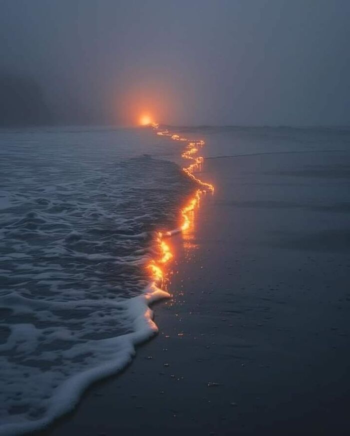 A fiery tide due to the sunset.