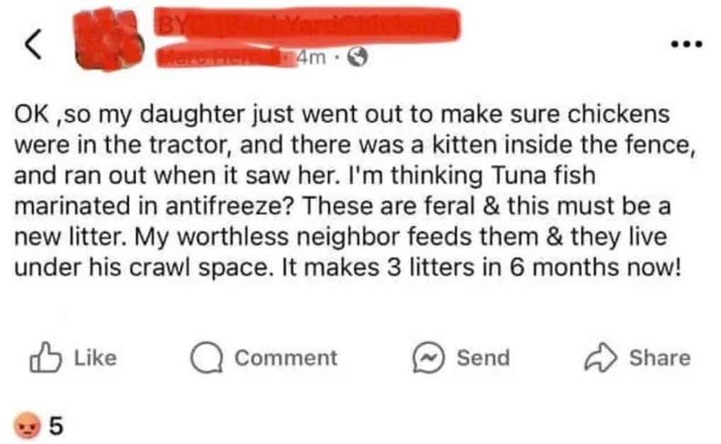 screenshot - 4m Ok, so my daughter just went out to make sure chickens were in the tractor, and there was a kitten inside the fence, and ran out when it saw her. I'm thinking Tuna fish marinated in antifreeze? These are feral & this must be a new litter. 