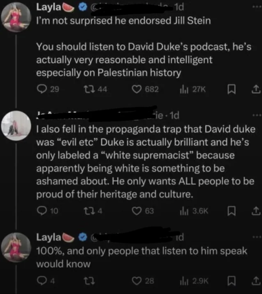 screenshot - Layla 1d I'm not surprised he endorsed Jill Stein You should listen to David Duke's podcast, he's actually very reasonable and intelligent especially on Palestinian history 29 1344 ie1d I also fell in the propaganda trap that David duke was "