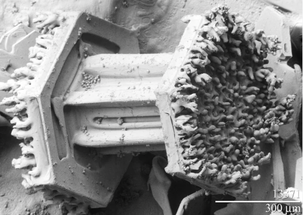 electron scanning microscope snow crystal