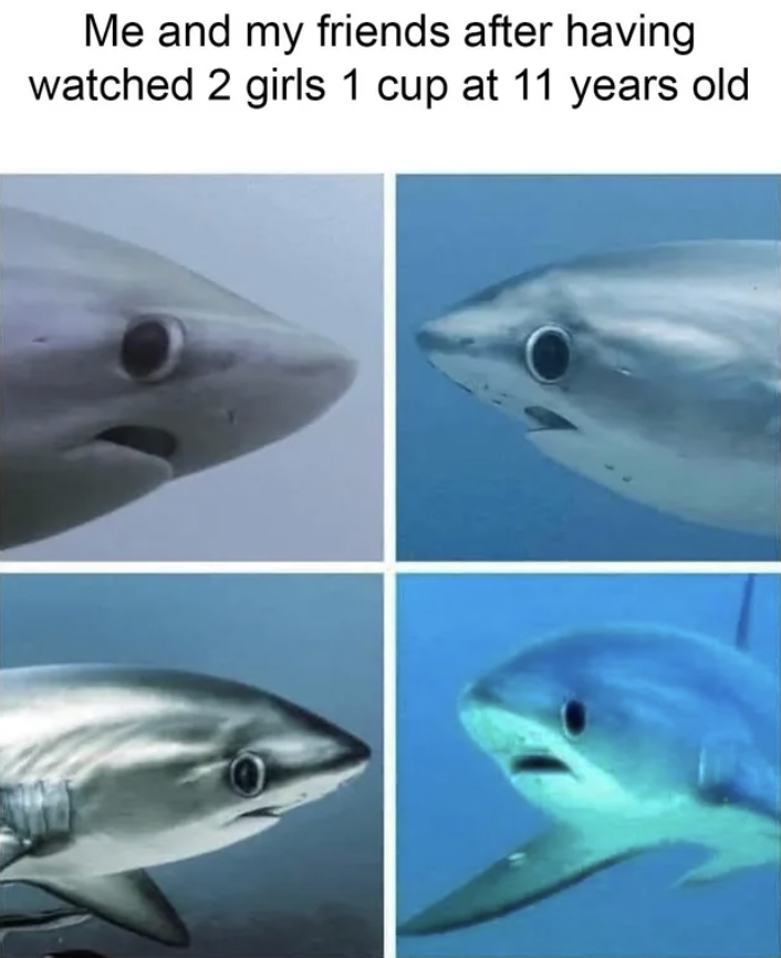 sharks memes - Me and my friends after having watched 2 girls 1 cup at 11 years old