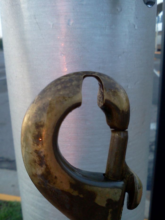 This bolt snap at the end of a dog leash has gone on counteless walks.