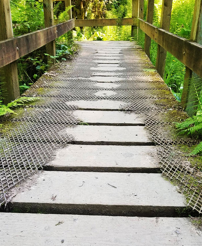 Metal mesh on this bridge shows the path most people have taken over the years.