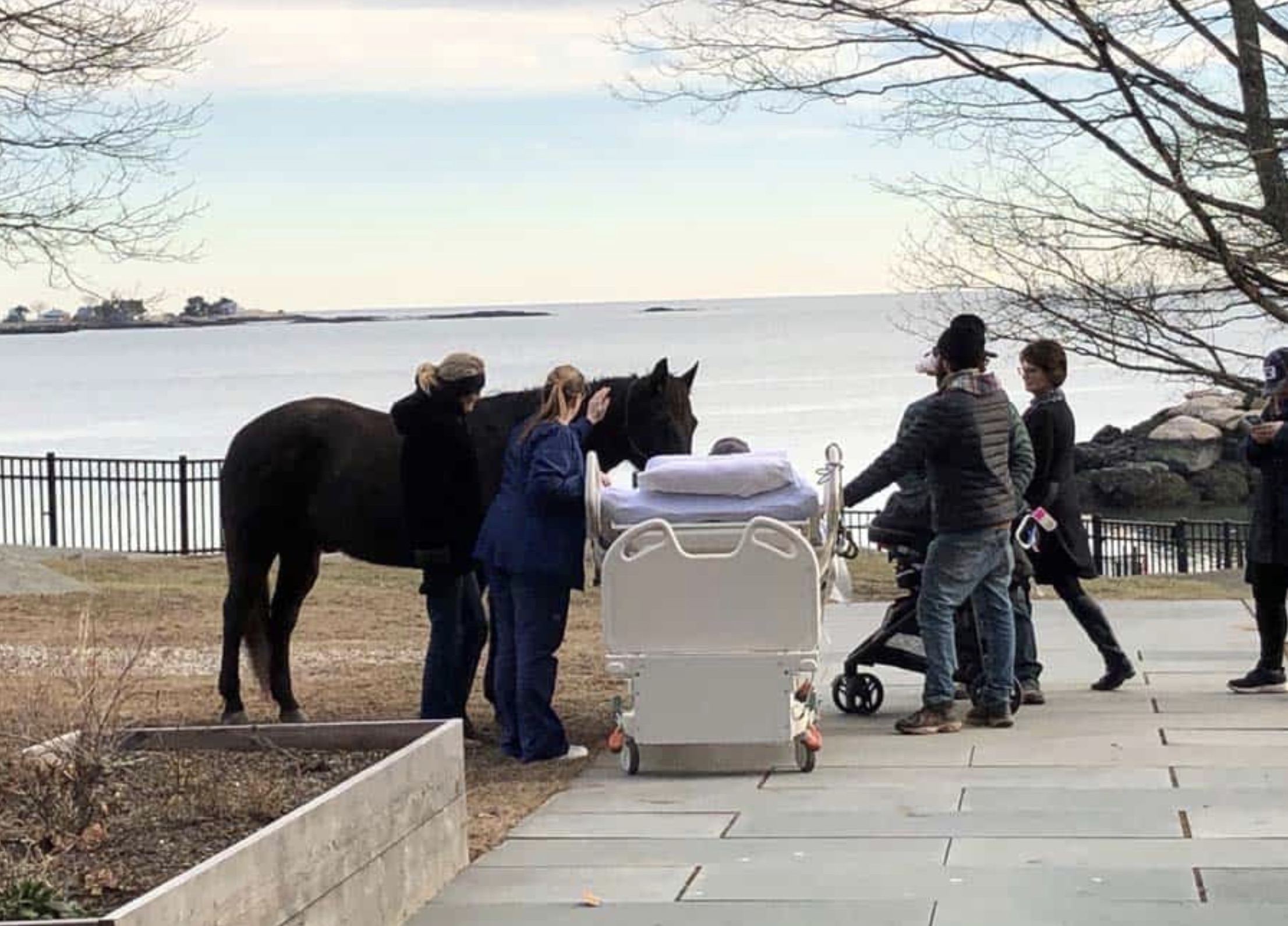 25 Healthcare Workers About to Toss the Elderly into the Ocean