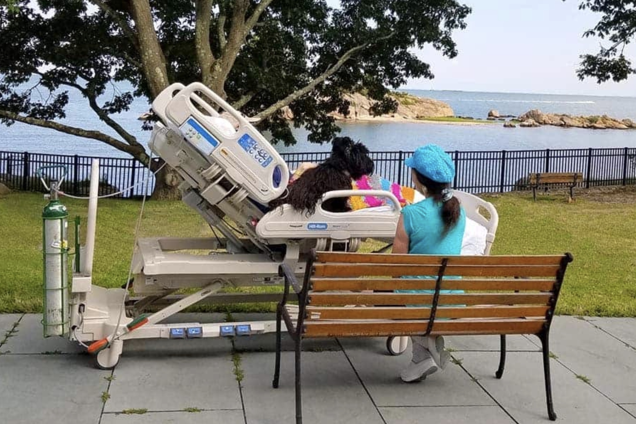 25 Healthcare Workers About to Toss the Elderly into the Ocean