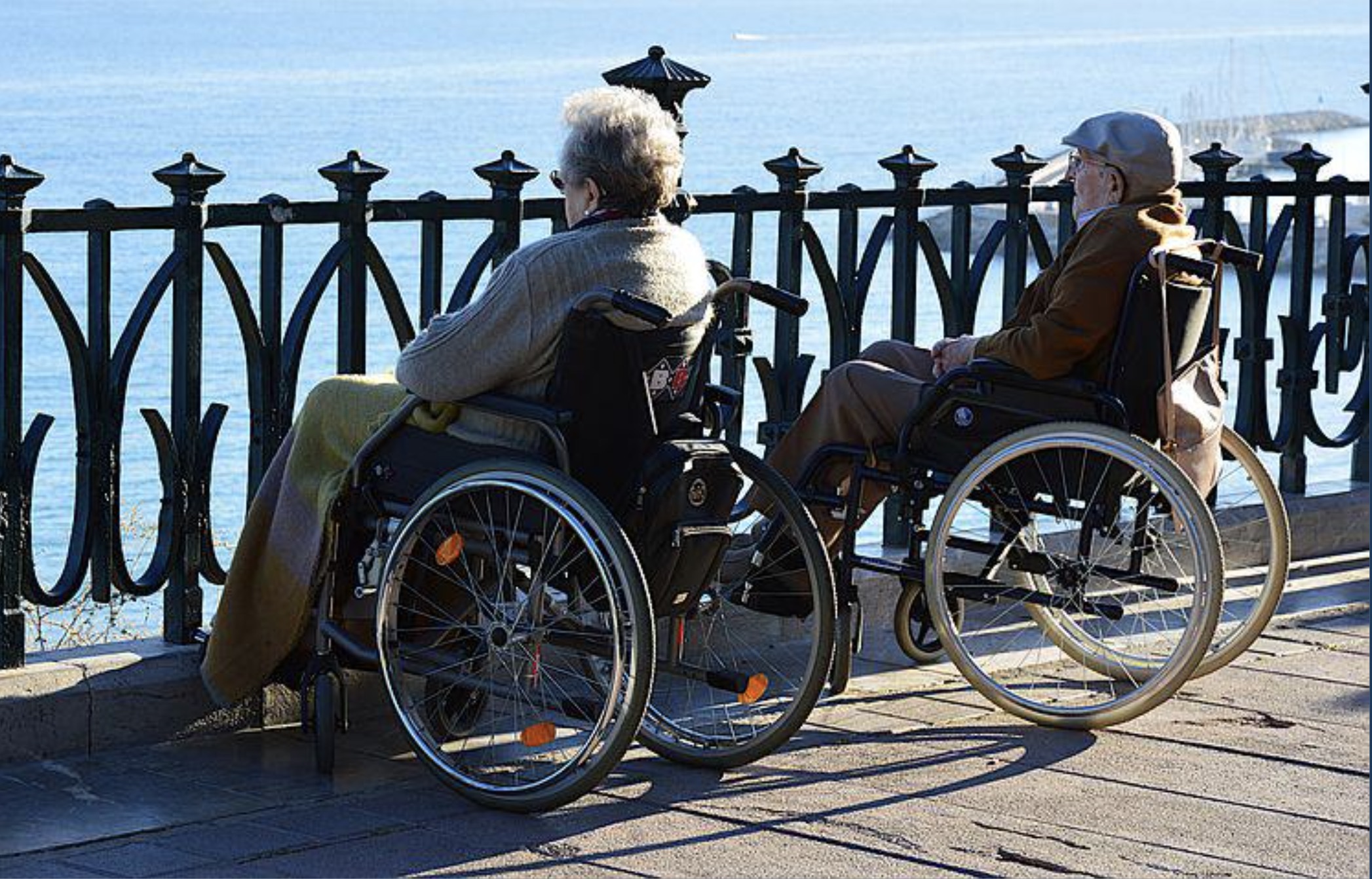 wheelchair perspective