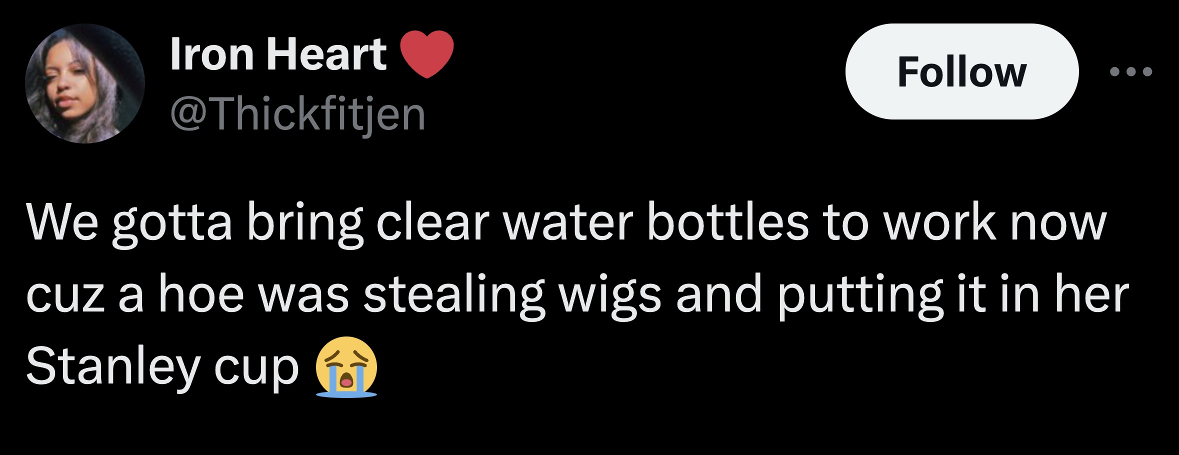 parallel - Iron Heart We gotta bring clear water bottles to work now cuz a hoe was stealing wigs and putting it in her Stanley cup