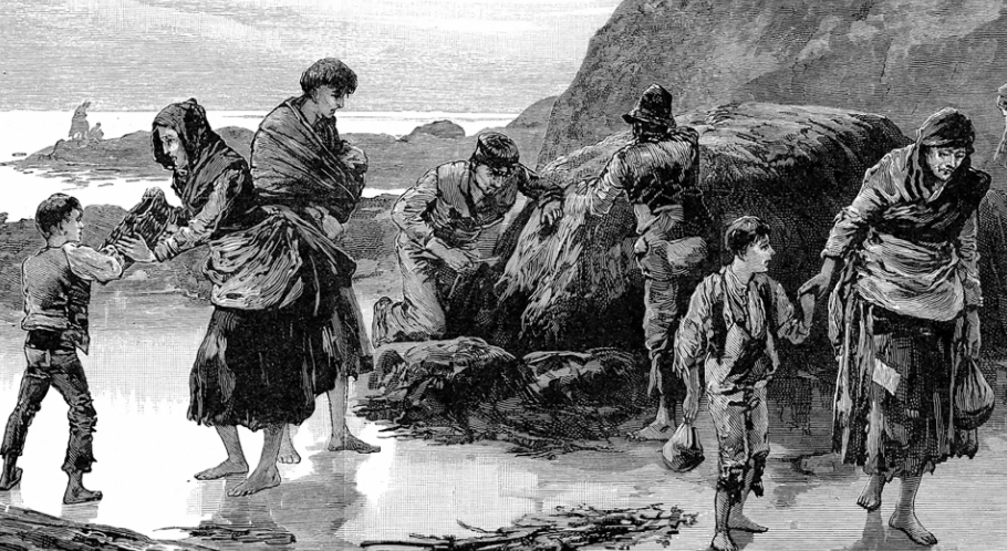 The Irish Famine. It was actually a genocide and gets downplayed quite frequently as the result of a potato blight, but it was more than that. The British shipped out any and every morsel of food available and the Irish were left with nothing to eat. Forced to eat grass or whatever was available, and others fled across the sea to America.