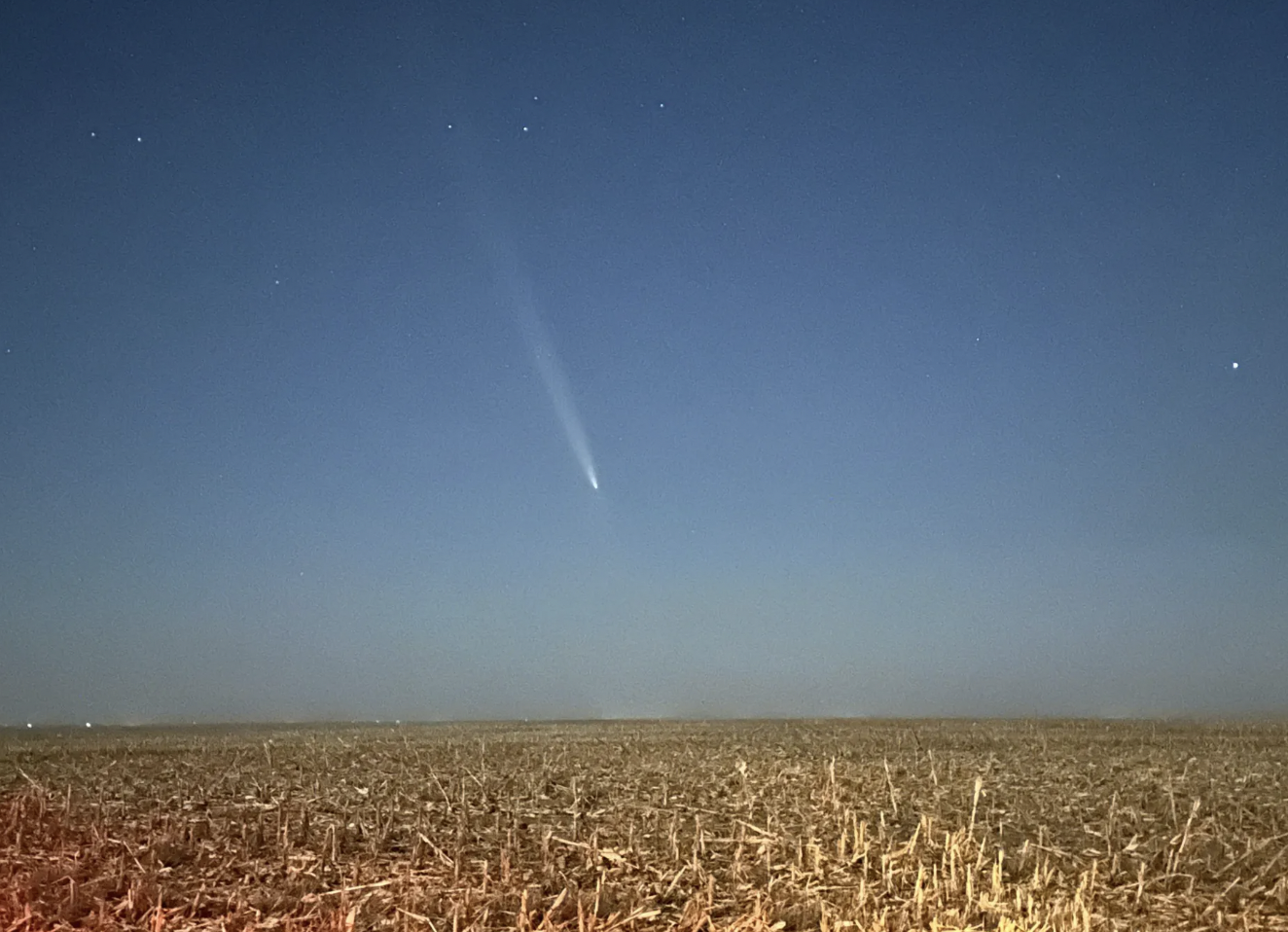 Bird City Kansas, by Clayton Janicke.