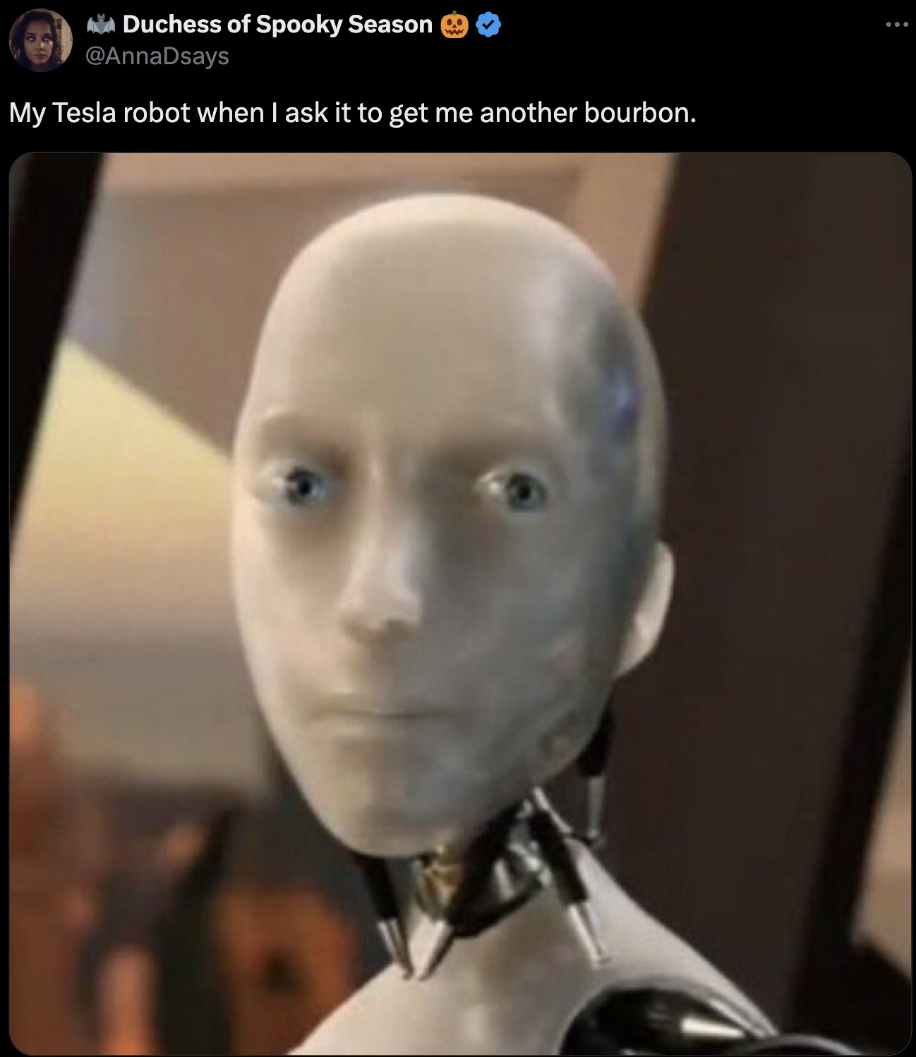 no robot meme - Duchess of Spooky Season My Tesla robot when I ask it to get me another bourbon.