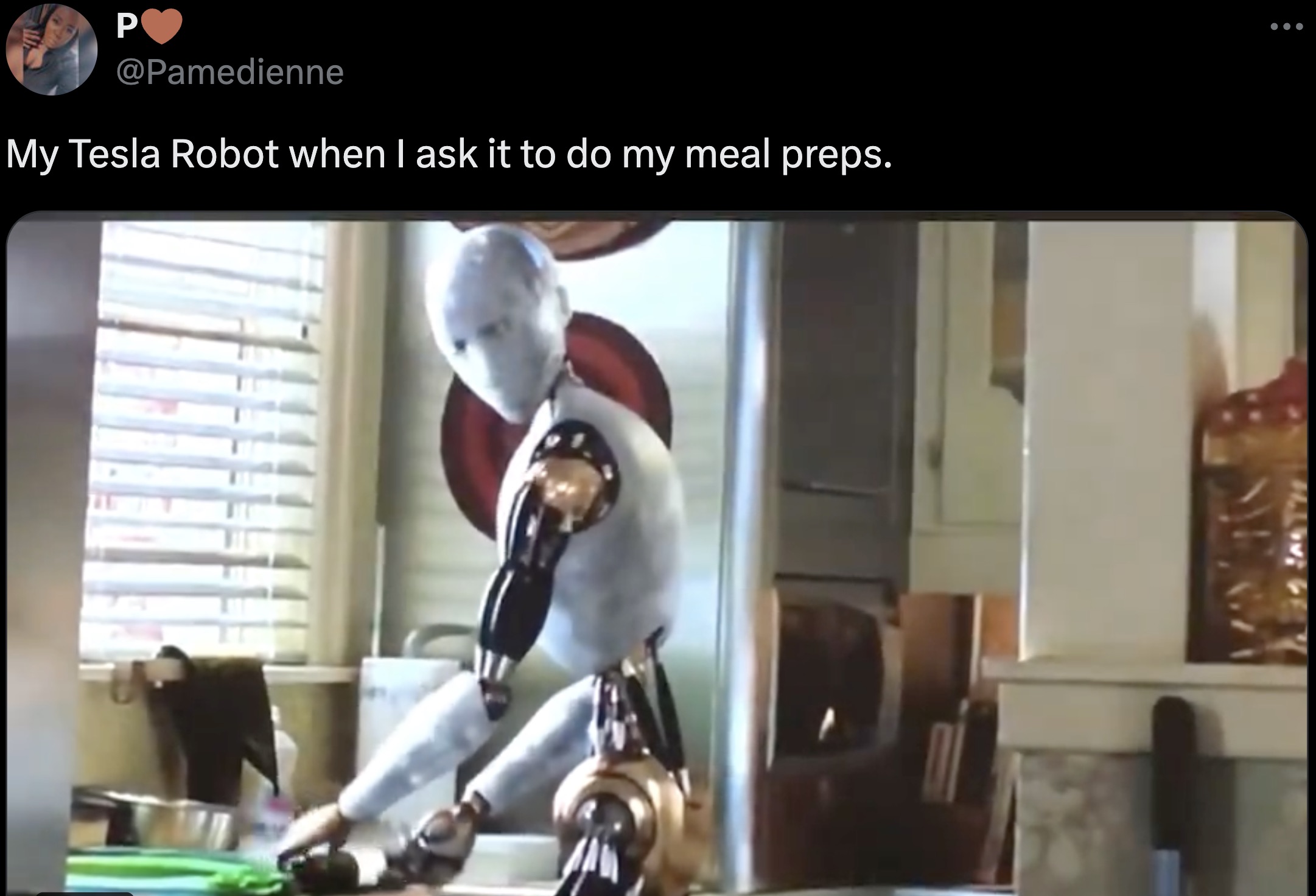 screenshot - P My Tesla Robot when I ask it to do my meal preps.