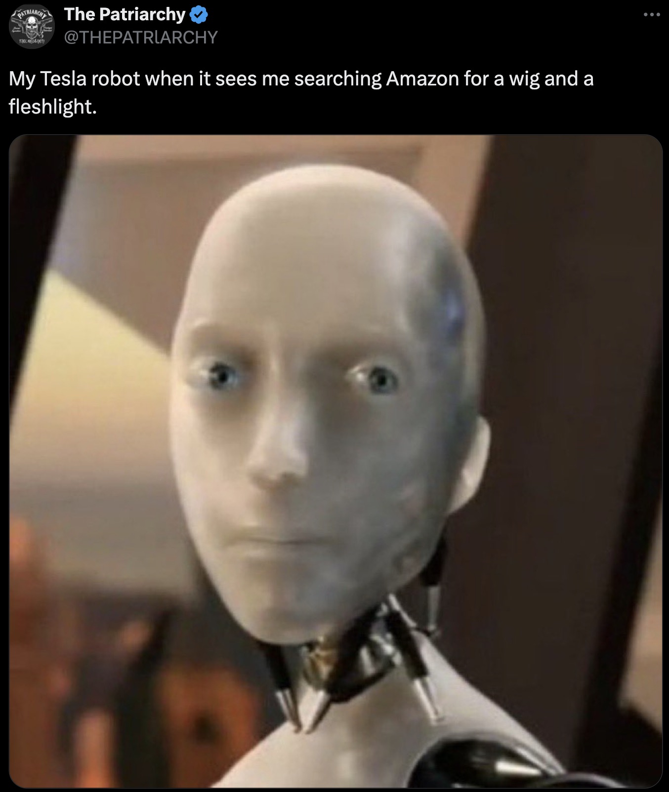 Internet meme - Patriarch The Patriarchy 104NITY My Tesla robot when it sees me searching Amazon for a wig and a fleshlight.