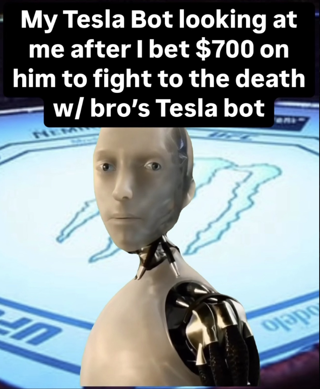 photo caption - My Tesla Bot looking at me after I bet $700 on him to fight to the death w bro's Tesla bot Nem