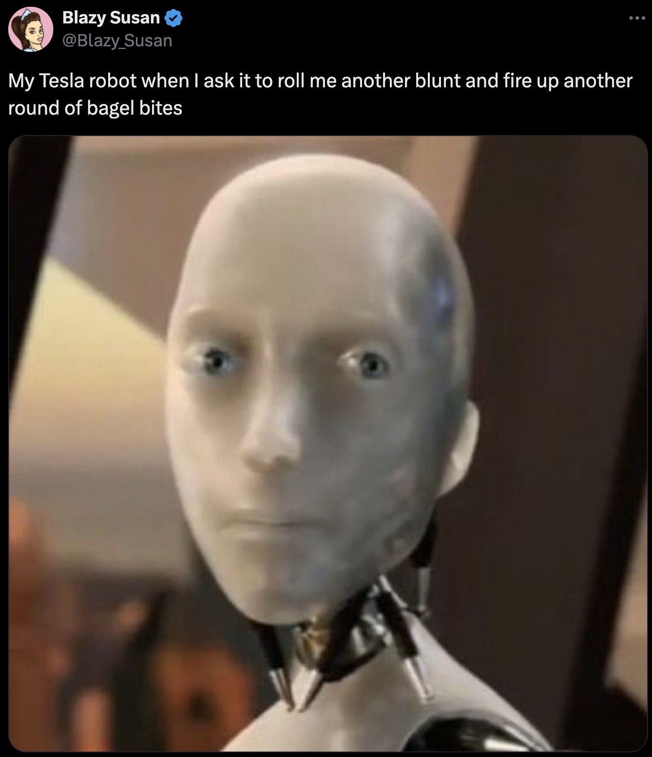 no robot meme - Blazy Susan My Tesla robot when I ask it to roll me another blunt and fire up another round of bagel bites ...