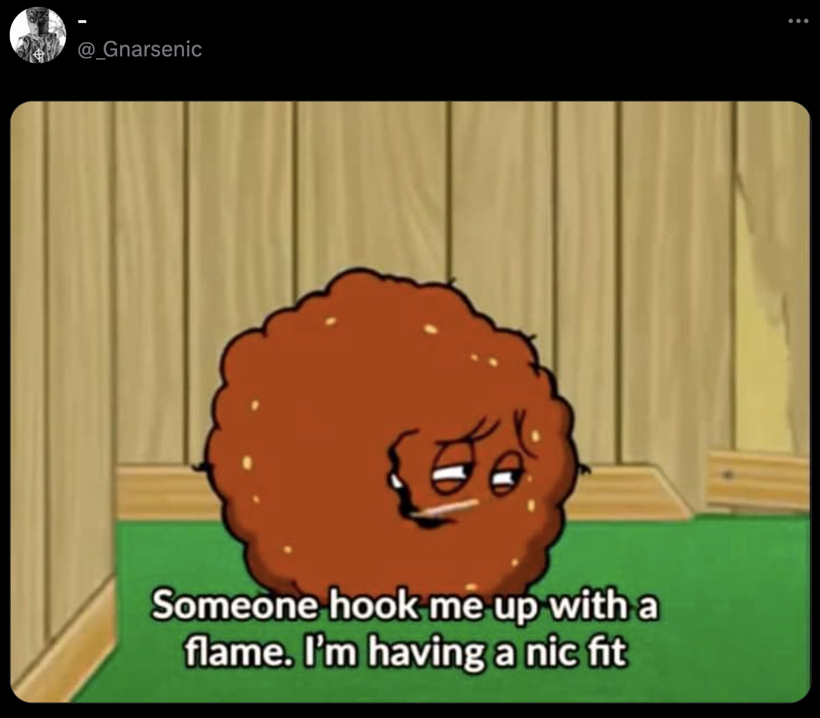 funny meatwad - @ Gnarsenic Someone hook me up with a flame. I'm having a nic fit