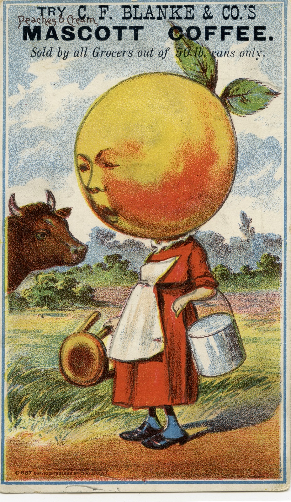 cartoon - Cf. Blanke & Co.'S Mascott Coffee. Sold by all Grocers out of lb. cans only.