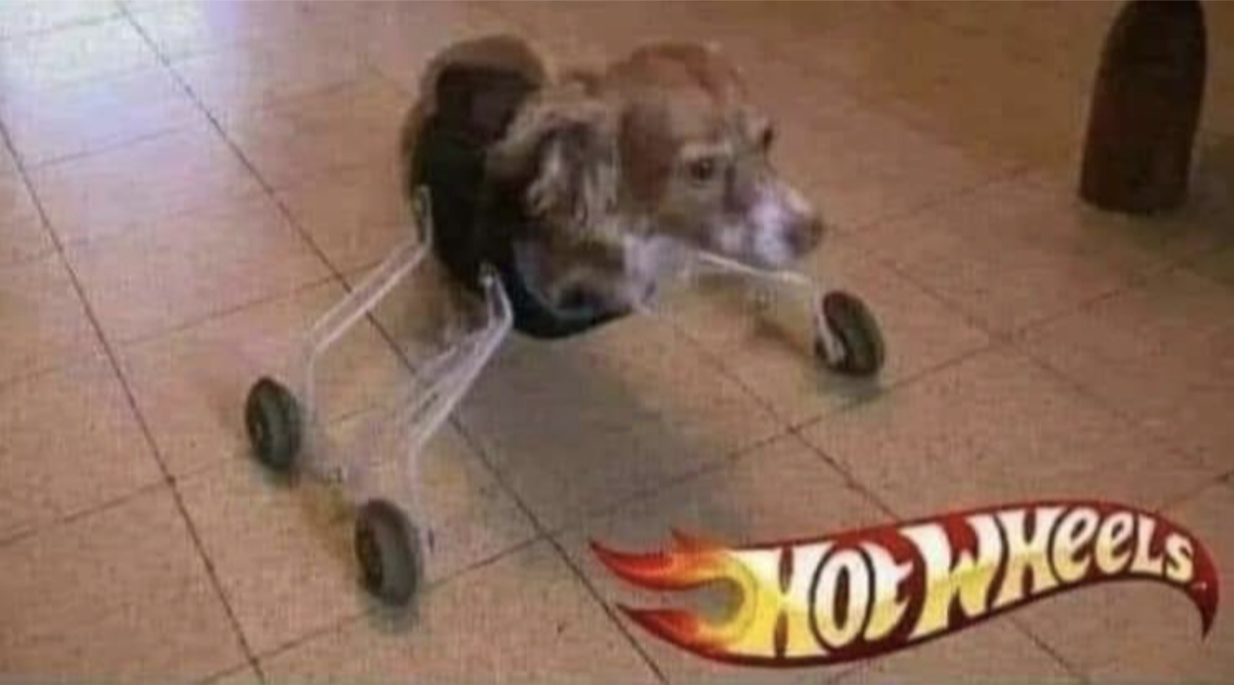 cursed hotwheels