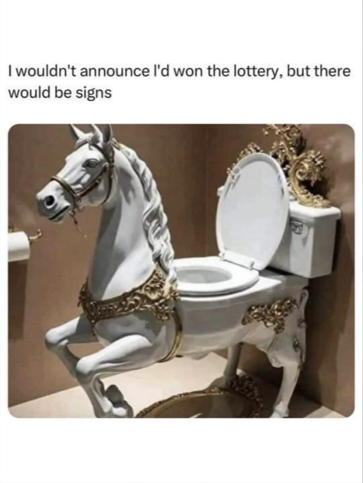 horse toilet meme - I wouldn't announce I'd won the lottery, but there would be signs