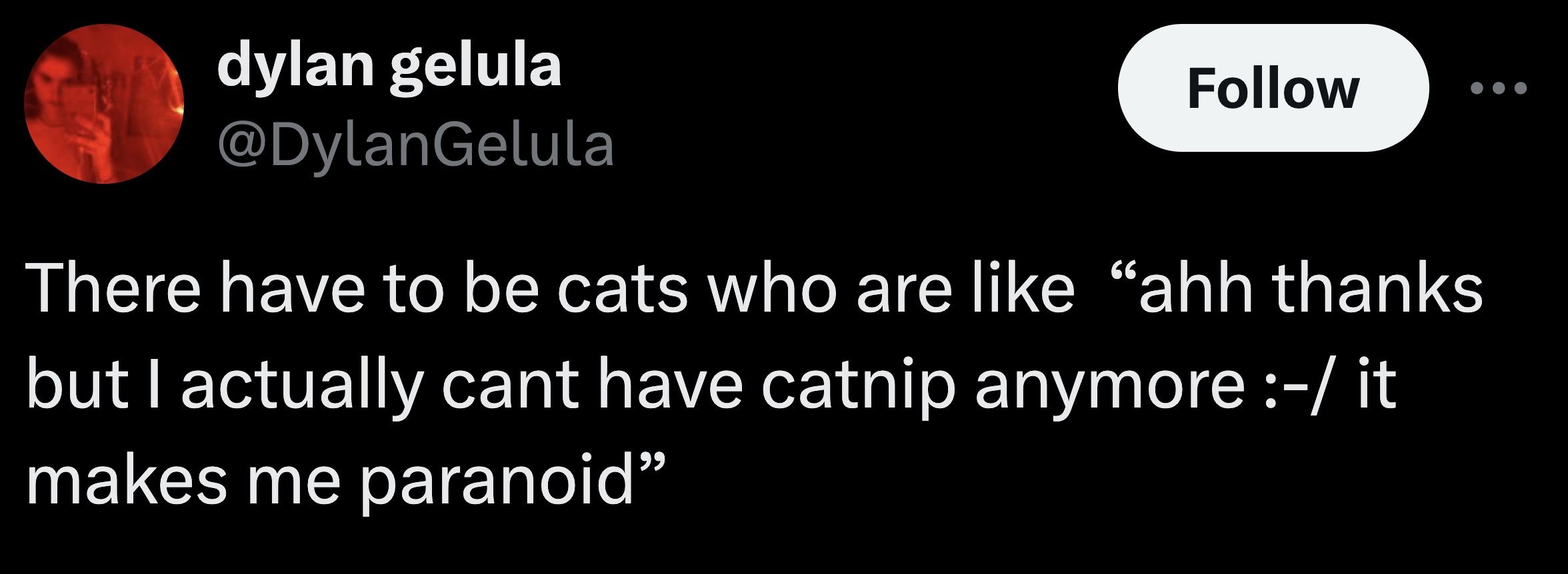 graphics - dylan gelula There have to be cats who are "ahh thanks but I actually cant have catnip anymore it makes me paranoid"