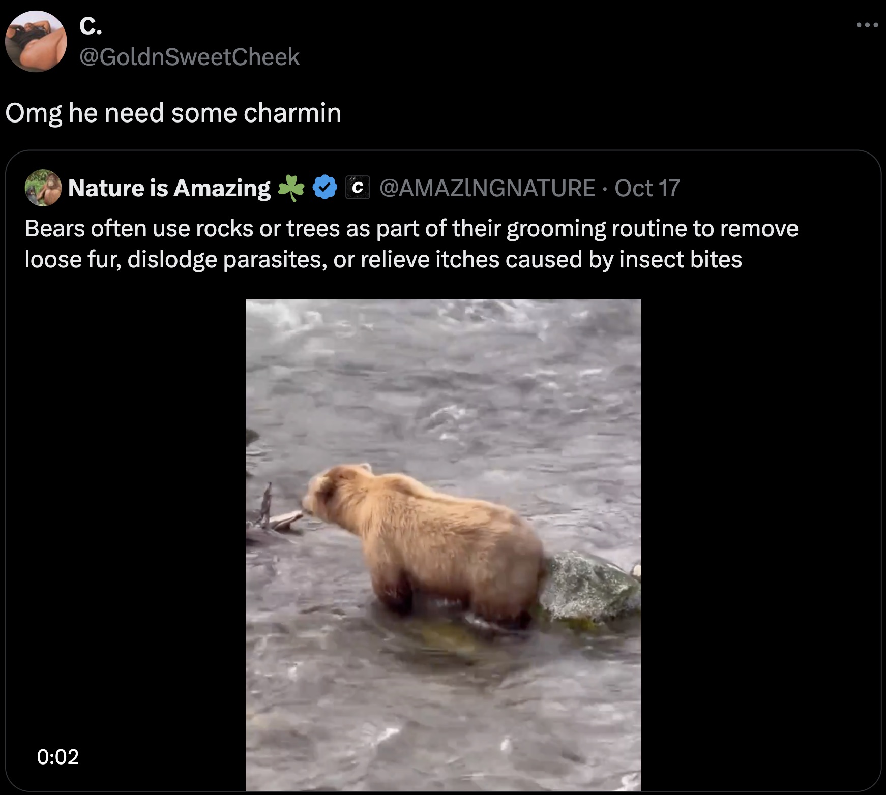 screenshot - C. Omg he need some charmin Nature is Amazing C Oct 17 Bears often use rocks or trees as part of their grooming routine to remove loose fur, dislodge parasites, or relieve itches caused by insect bites