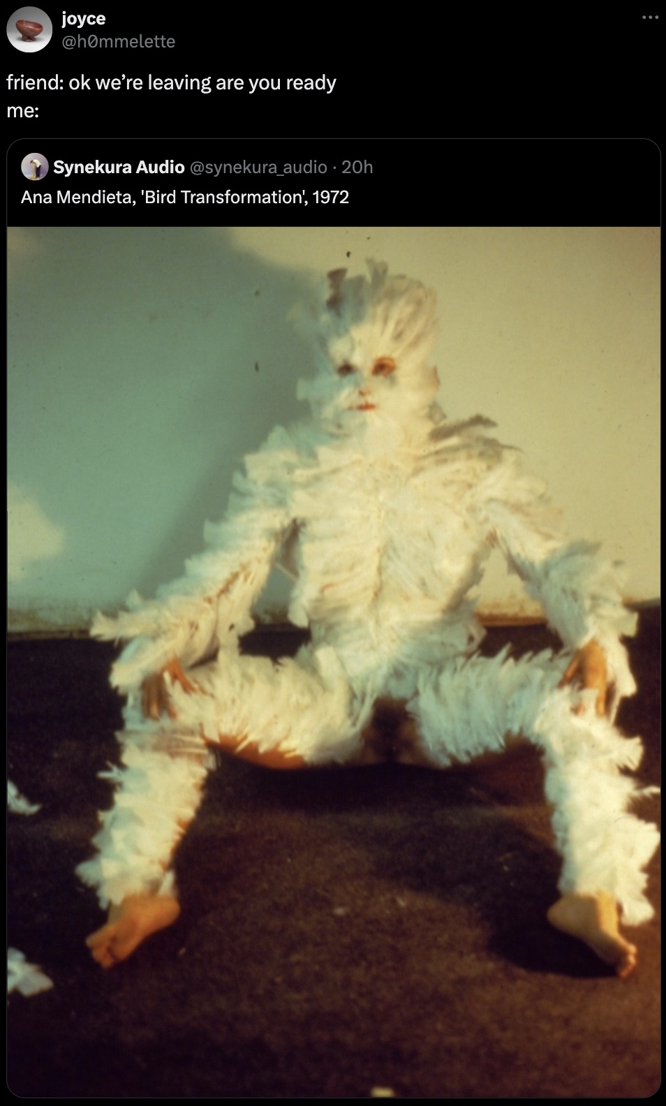 joyce friend ok we're leaving are you ready me Synekura Audio 20h Ana Mendieta, 'Bird Transformation', 1972