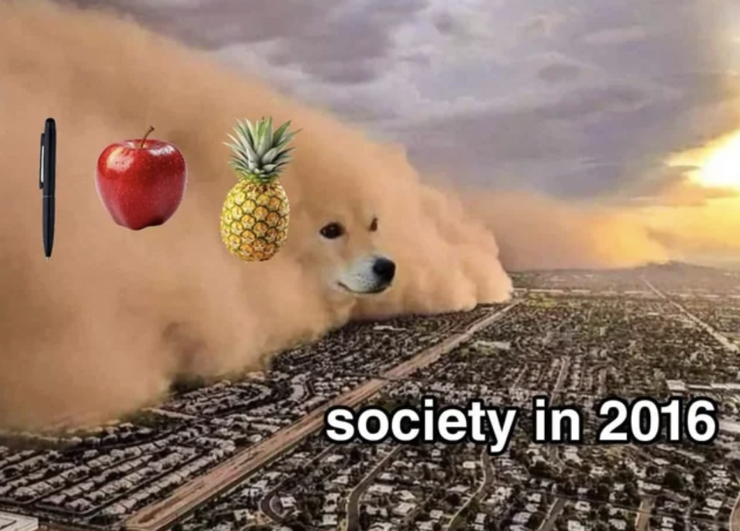 doge sandstorm - society in 2016