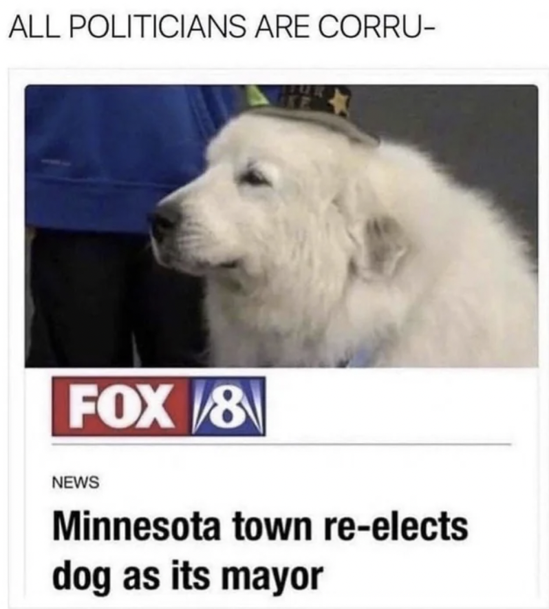 minnesota dog mayor meme - All Politicians Are Corru Fox 8 News Minnesota town reelects dog as its mayor