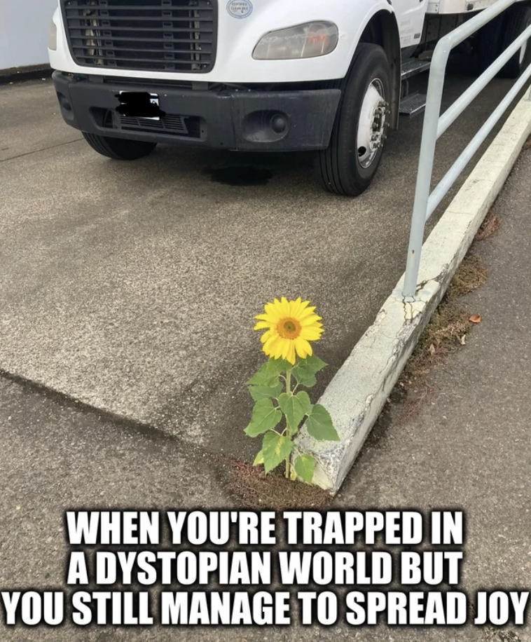 sunflower - When You'Re Trapped In A Dystopian World But You Still Manage To Spread Joy