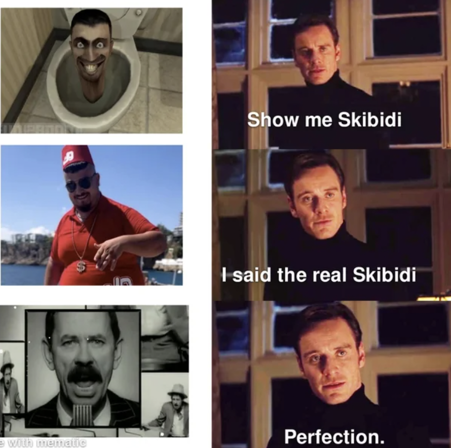 Internet meme - wolk maTELLS Show me Skibidi I said the real Skibidi Perfection.