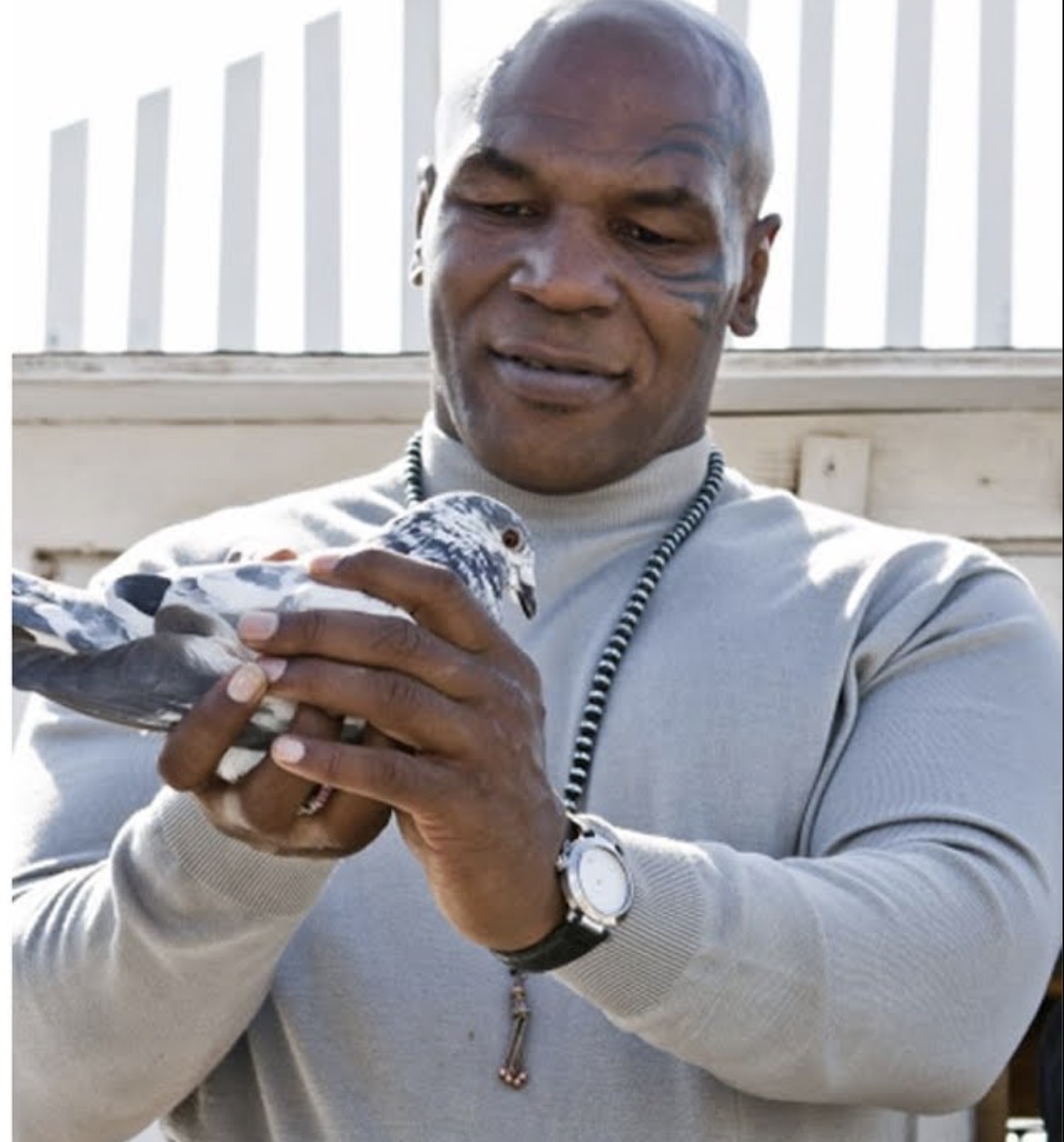 26 Pics of Mike Tyson Lovingly Holding Pigeons 