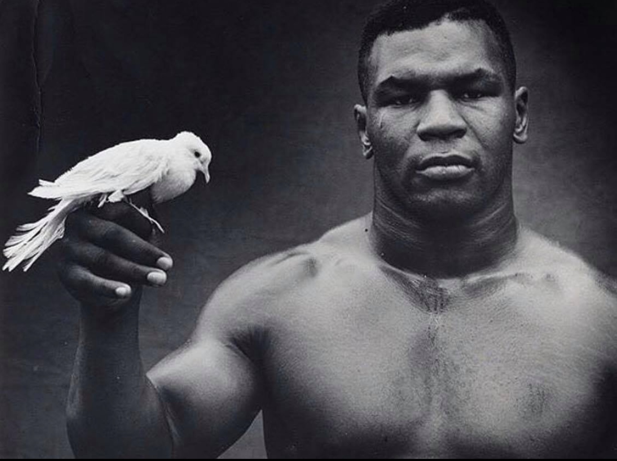 26 Pics of Mike Tyson Lovingly Holding Pigeons 