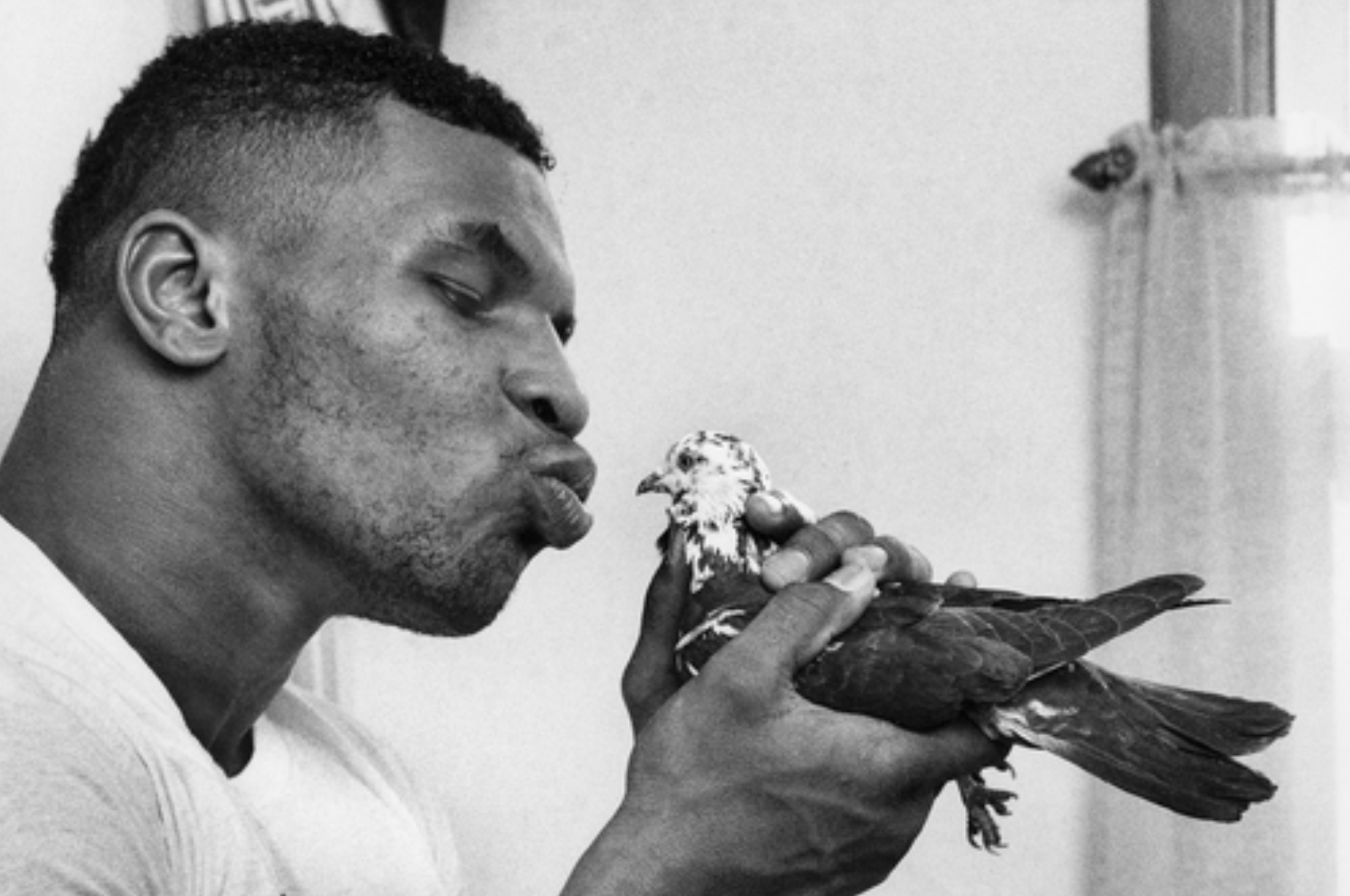 mike tyson and bird