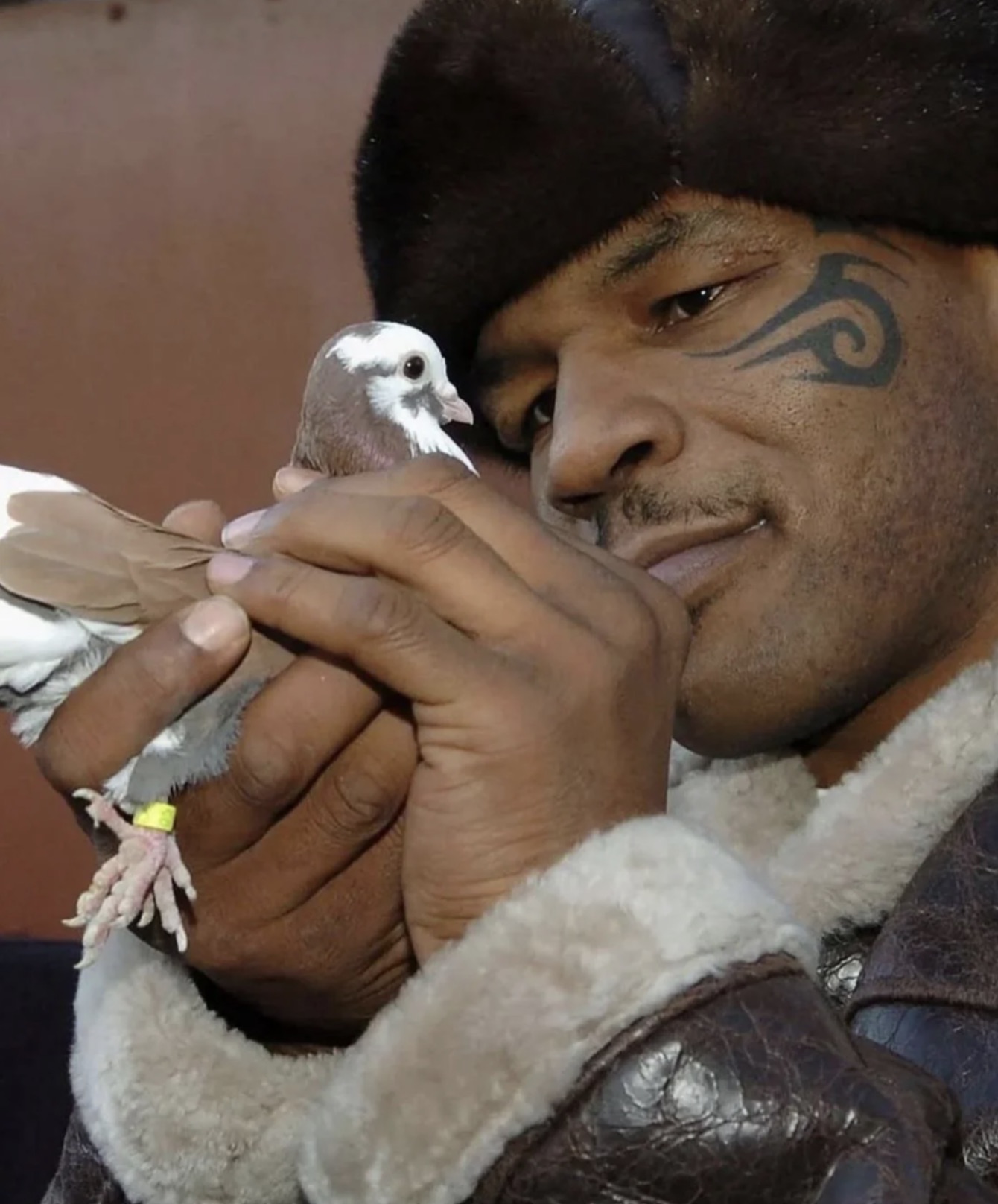 mike tyson pigeon