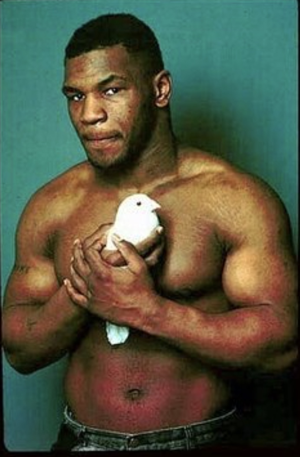 mike tyson pigeons