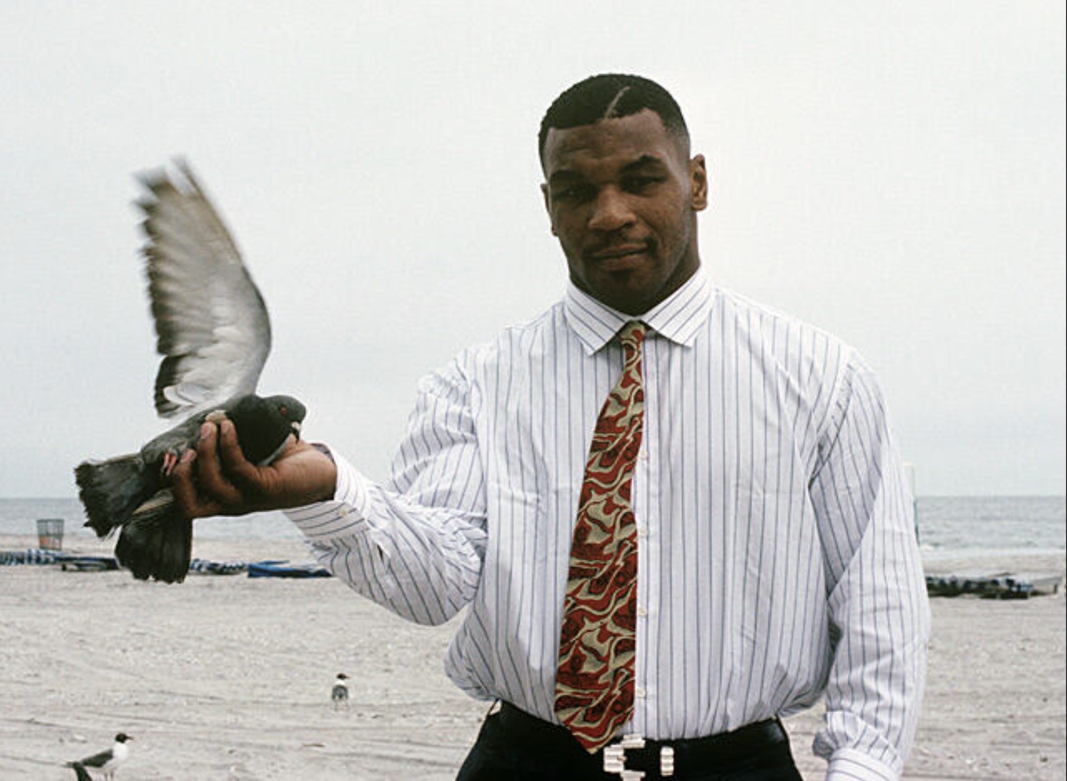 mike tyson holding pigeons