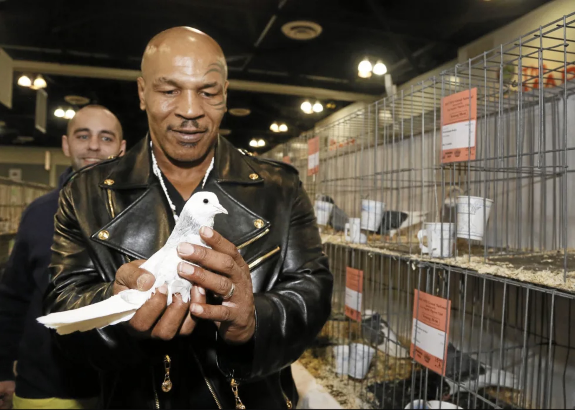 26 Pics of Mike Tyson Lovingly Holding Pigeons 