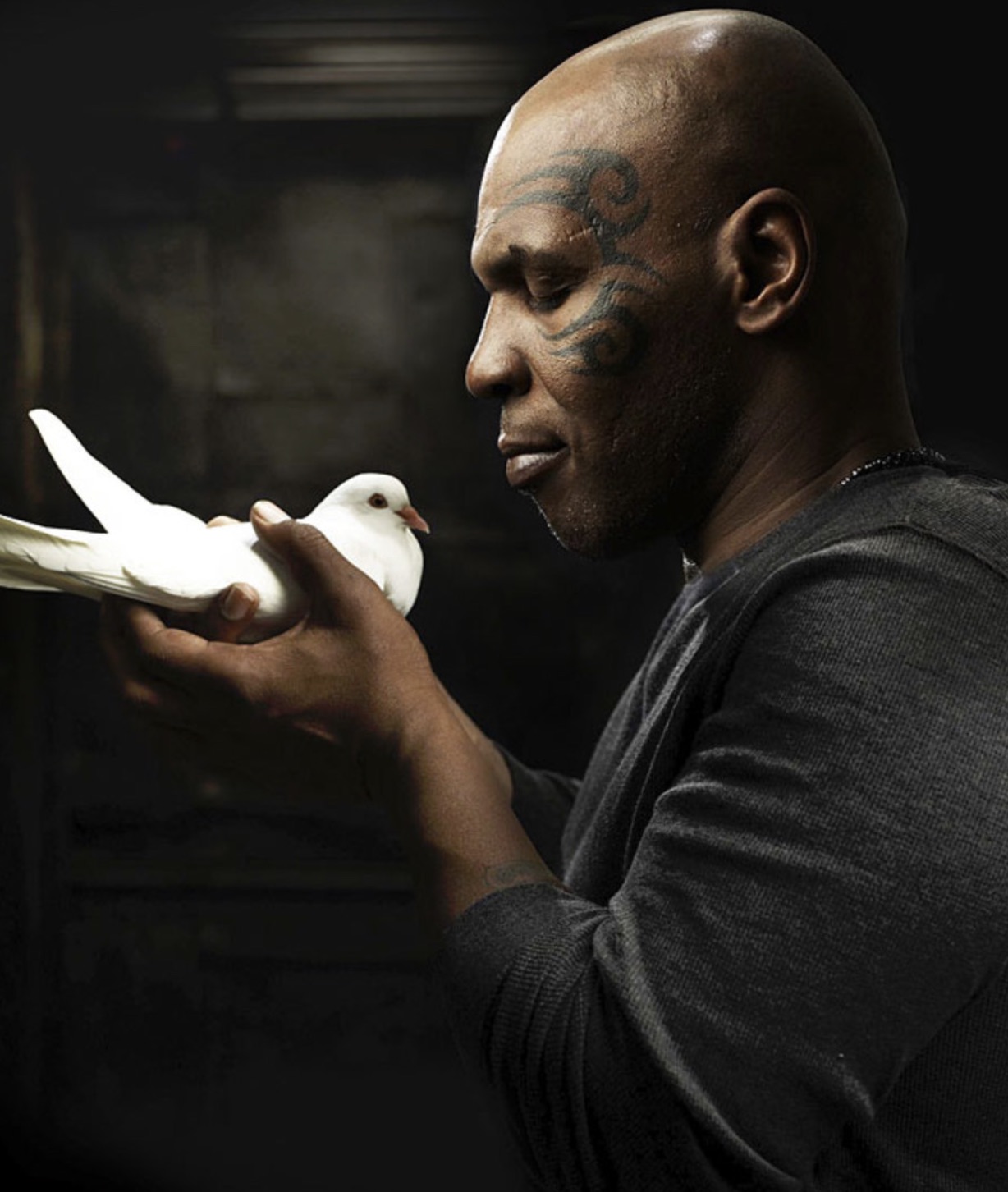 mike tyson with pigeon