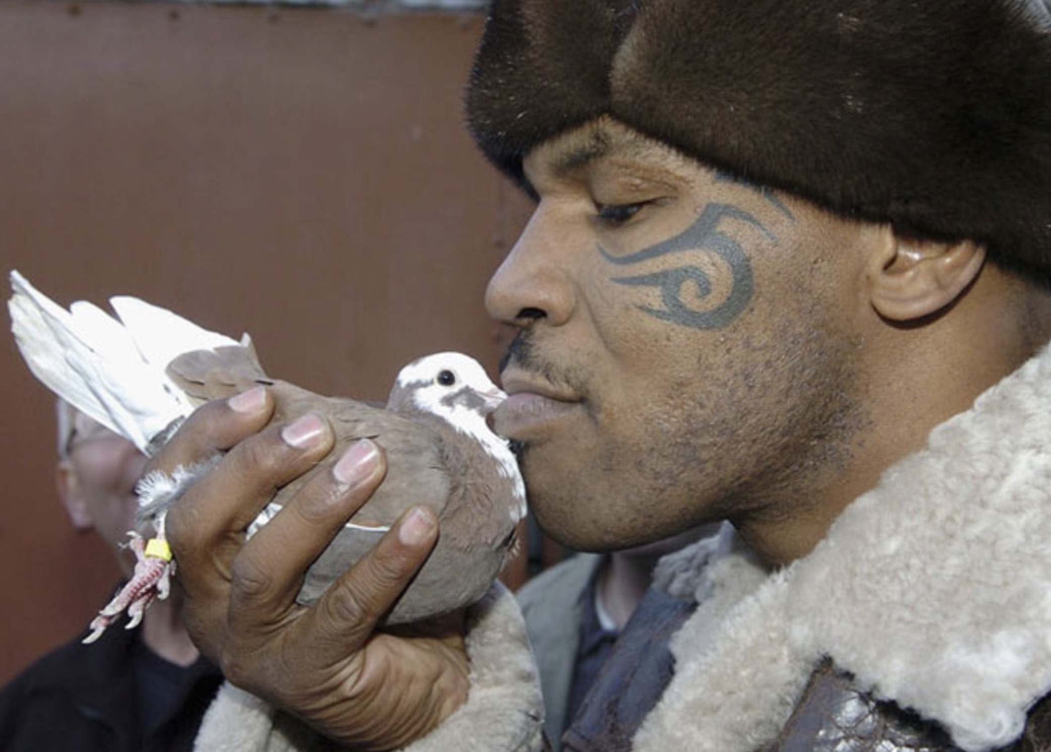 mike tyson pigeons now kith