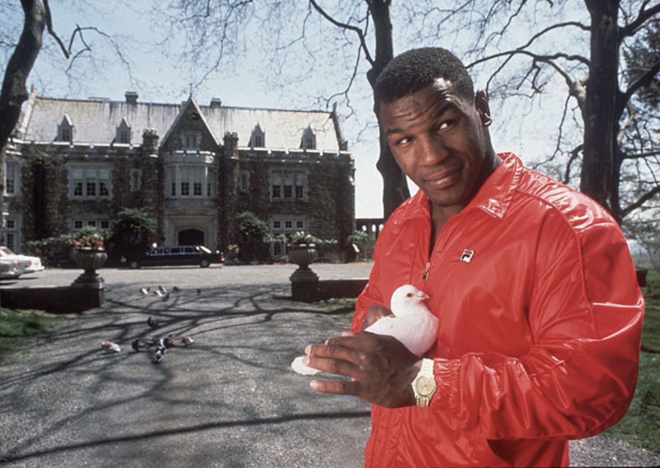 26 Pics of Mike Tyson Lovingly Holding Pigeons 