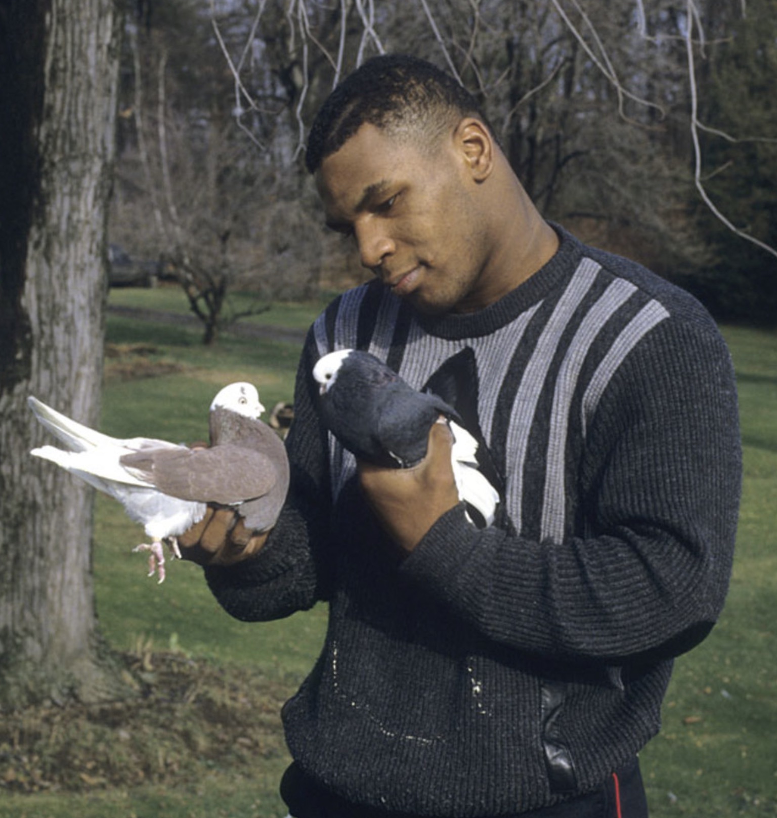 26 Pics of Mike Tyson Lovingly Holding Pigeons 