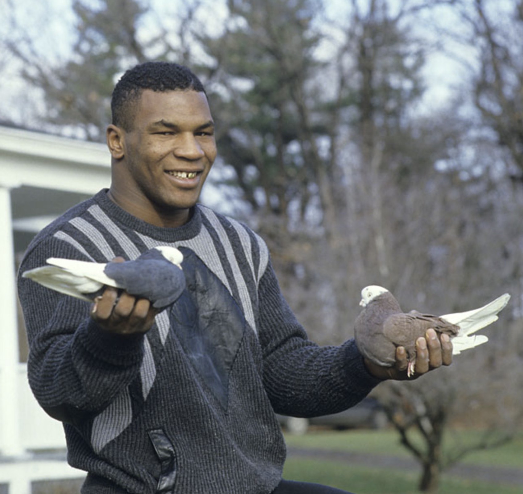 mike tyson pigeons